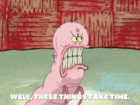 season 6 pet or pets GIF by SpongeBob SquarePants