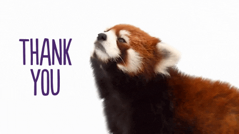 Red Panda Thank You GIF by TELUS