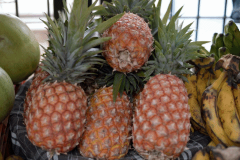 erivancamposconde giphygifmaker GIF