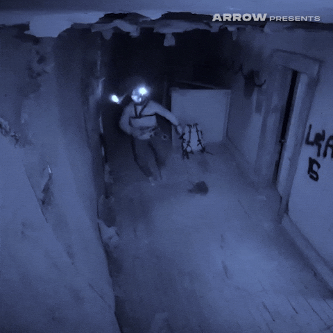 Found Footage Film GIF by Arrow Video