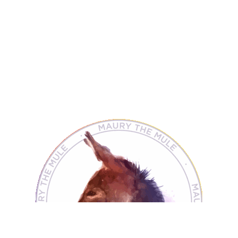 Maurythemule Sticker by Maury Alliance