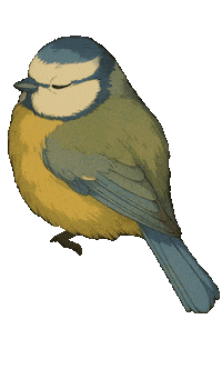 Bird Ghibli Sticker by mahoniemoni