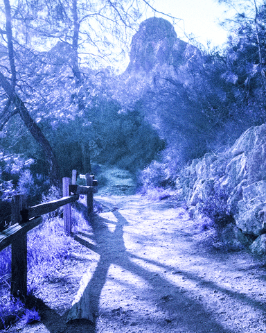 film analog GIF by Doctor Popular