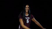 Littlerockvb GIF by Little Rock Athletics