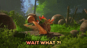 Shocked Wait What GIF by Gameforge