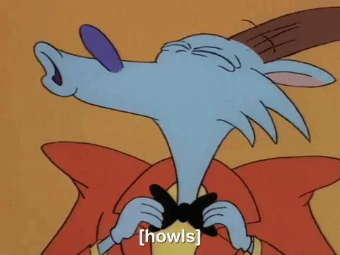 rockos modern life nicksplat GIF
