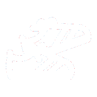 shoes feet Sticker by forevery