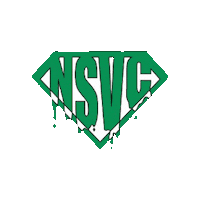 Pole Vault Pacer Sticker by Gill Athletics