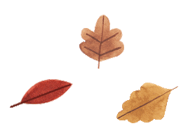 Fall Autumn Sticker