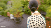 GIF by MasterChefAU