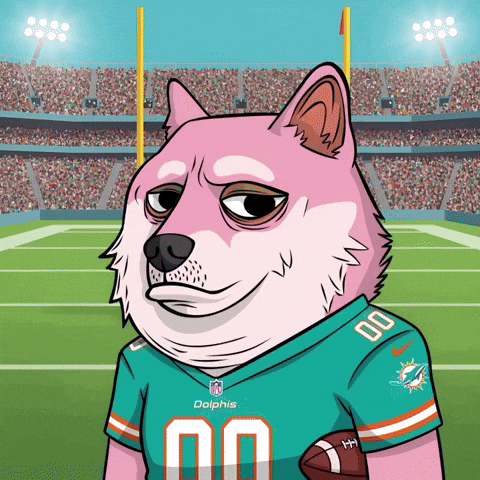 Miami Dolphins Football GIF by Doge Pound