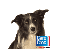 CaroCrocbrokken dogfood smullen hondenvoer kattenvoer Sticker