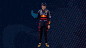 Ver Red Bull GIF by Oracle Red Bull Racing