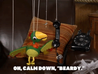 season 5 GIF by SpongeBob SquarePants