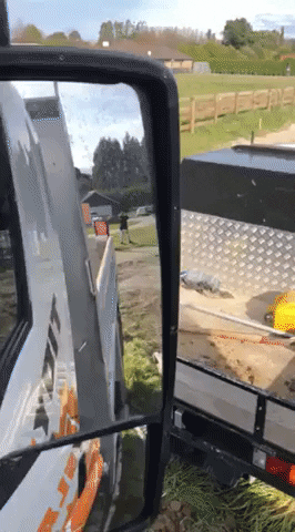 tidyslabs giphyupload GIF