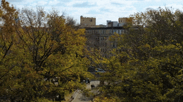 Manhattan