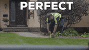 Weed Yes GIF by StittsvilleOnPatrol