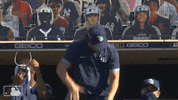 Happy Major League Baseball GIF by MLB