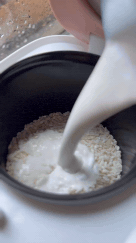 Mango Sticky Rice At Home | Rice Robot