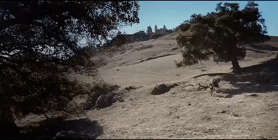 music video guy GIF by Lady Gaga