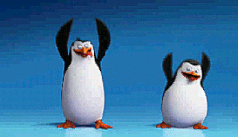 the penguin GIF