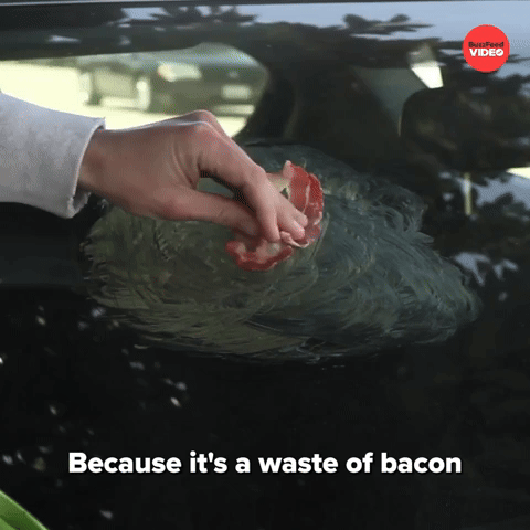Waste of bacon
