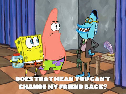 season 4 GIF by SpongeBob SquarePants