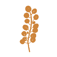 matteoiori illustration plant botanic yam Sticker