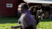 ameliaparkerseries selfie goat 102 byutv GIF