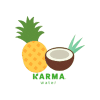 Immune System Wellness Sticker by Karma Water