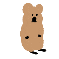 Emoji Quokka Sticker by Dinotaeng