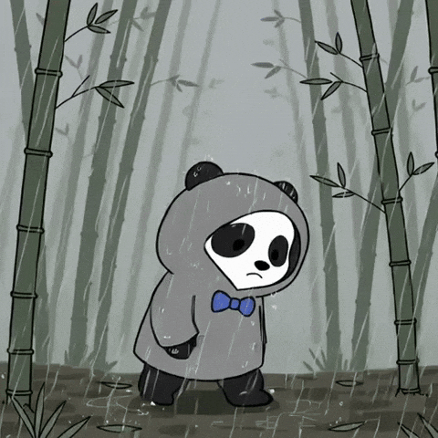 Rain Panda GIF by Pandu Pandas