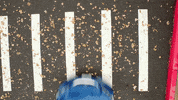 hondaendofsummer GIF by Central Valley Honda Dealers