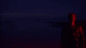 Lights Up GIF by Harry Styles