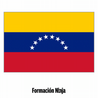 Flag Bandera GIF by Formación Ninja