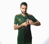 Portland Timbers Soccer GIF by Timbers