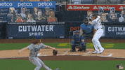 May Regular Season GIF by MLB