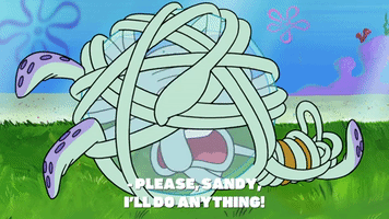 season 9 squid defense GIF by SpongeBob SquarePants