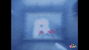 vidiots_official funny cat movie film GIF