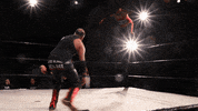 SHWAWrestling punch jab cutter perth pro wrestling GIF