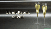 Romania Felicitare GIF by echilibrultau