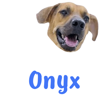 Dog Onyx Sticker
