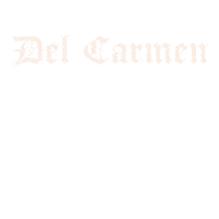 shopdelcarmen fashion coffee smallbusiness shopnow Sticker