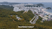 달맞이카페 GIF by Fruiterie Forest Busan