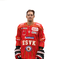 Del2 Allgäu Sticker by ESV Kaufbeuren // Buron Joker