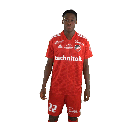 Diop Sticker by SO CHOLET