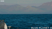 bbc one ocean GIF by BBC