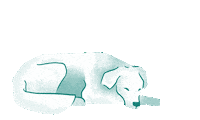 Hund Sticker by HelloBello Frischfutter