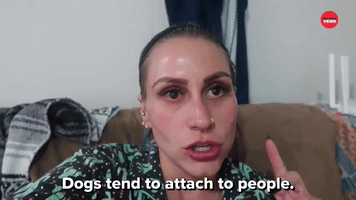 Dogs Attach To People