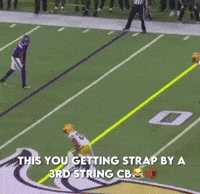 Green Bay Packers GIF